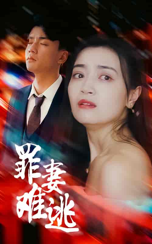 罪妻难逃（95集）-初遇资源网