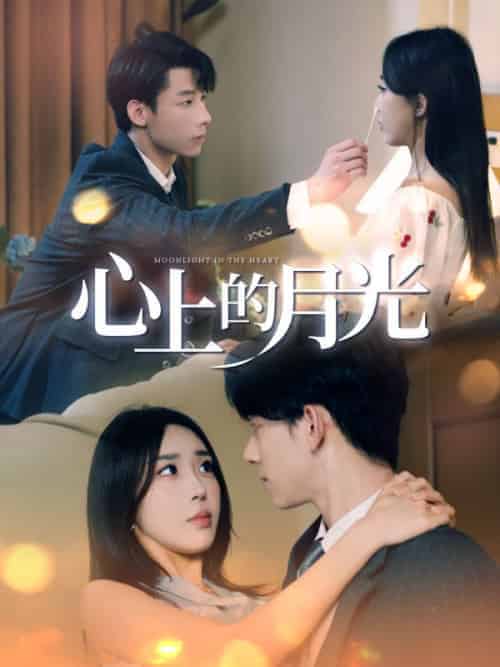 心上的月光(100集全)邢北琛&许晚橙-初遇资源网