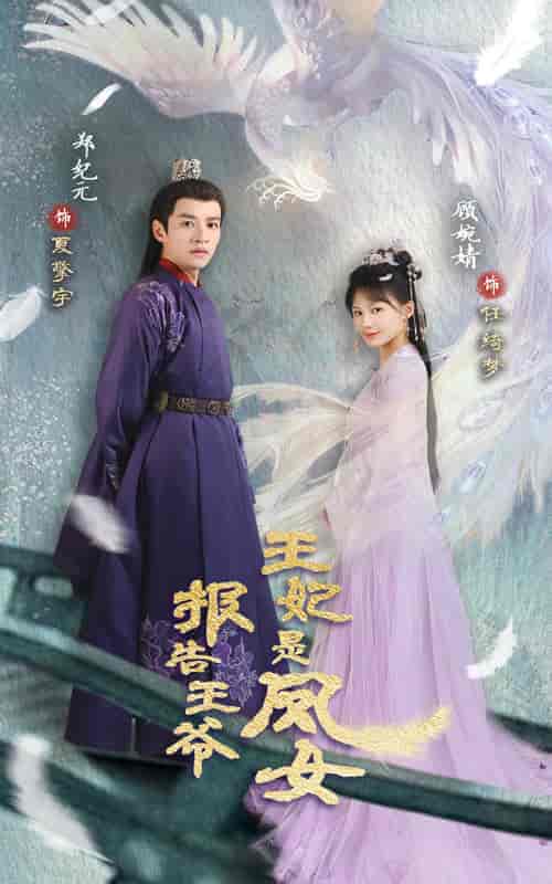 报告王爷王妃是凤女(78集)-初遇资源网