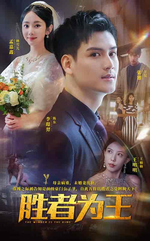 胜者为王（93集全）孟佳鑫 - 夸克短剧