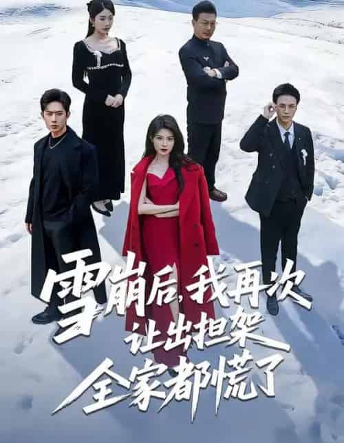 雪崩后，我再次让出担架全家都慌了（61集全）程晨＆黄子珺-初遇资源网