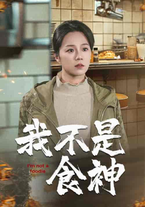 我不是食神(46集全)代代-初遇资源网