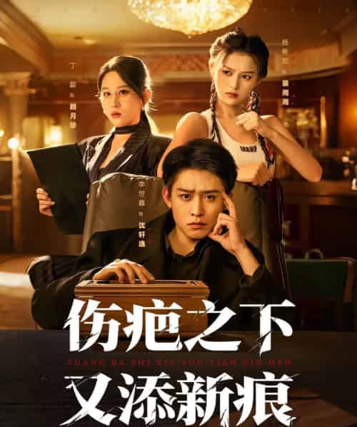 伤疤之下又添新痕（60集全）李世鑫＆丁磊-初遇资源网