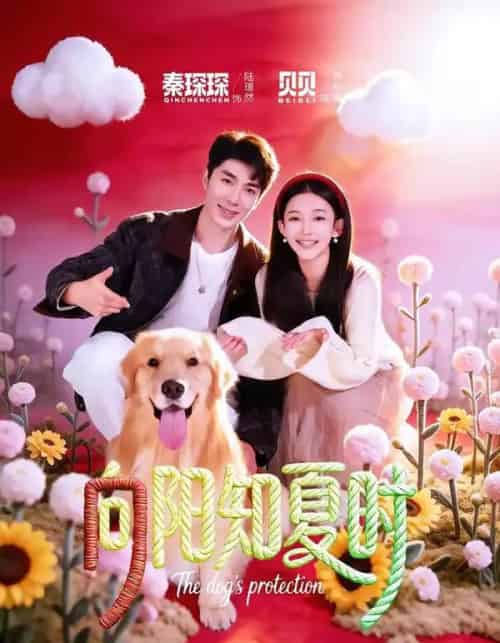 向阳知夏时(80集全)秦琛琛&贝贝-初遇资源网