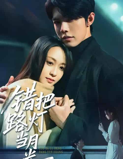 错把路灯当月光（40集）-初遇资源网