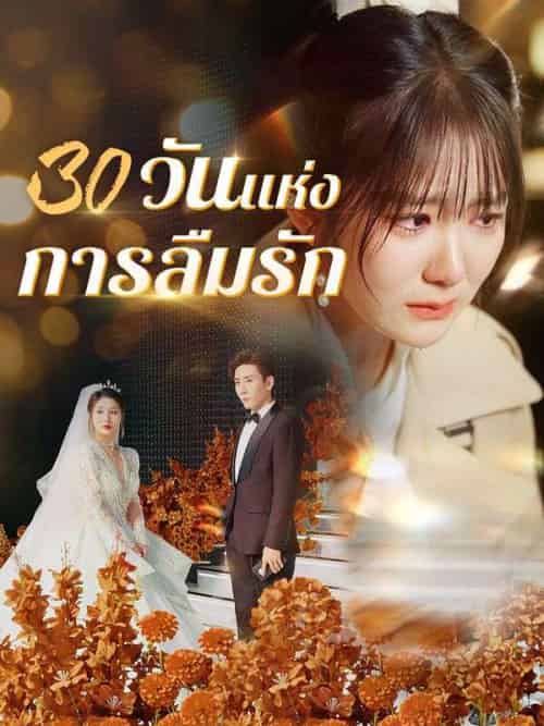 30 วันแห่งการลืมรัก(50集全)กานต์&&ปิ่น-初遇资源网