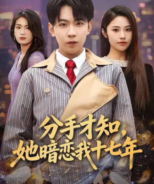 分手才知，她暗恋我十七年（80集全）姚洁茹＆丁子晨-初遇资源网