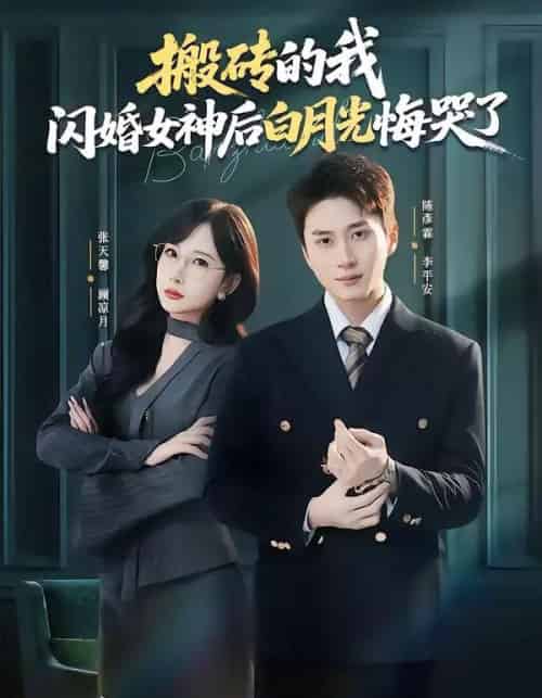 搬砖的我,闪婚女神后白月光悔哭了(80集全)陈彦霖&张天馨-初遇资源网