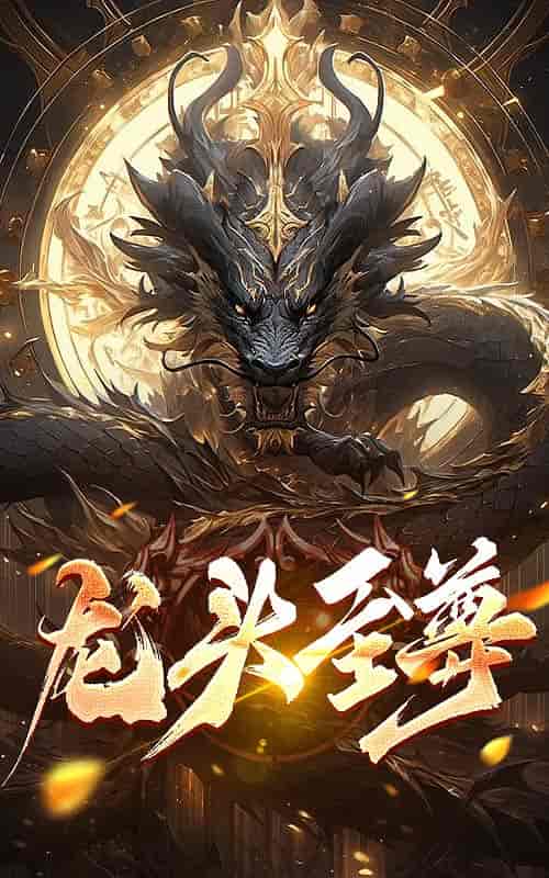 龙头至尊（73集）-初遇资源网
