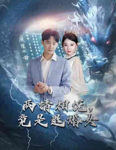 刁蛮退婚女，师姐帮我报大仇＆两情相悦，竟是退婚女（81集）-初遇资源网