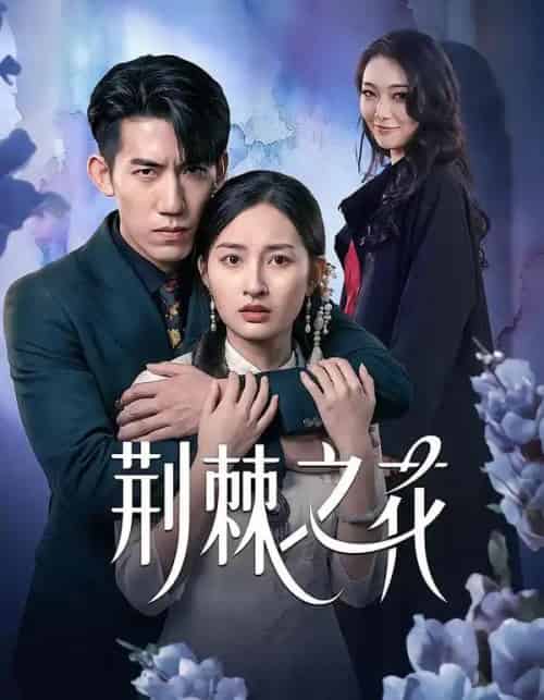 荆棘之花(100集全)杨可忻&范哲宇-初遇资源网