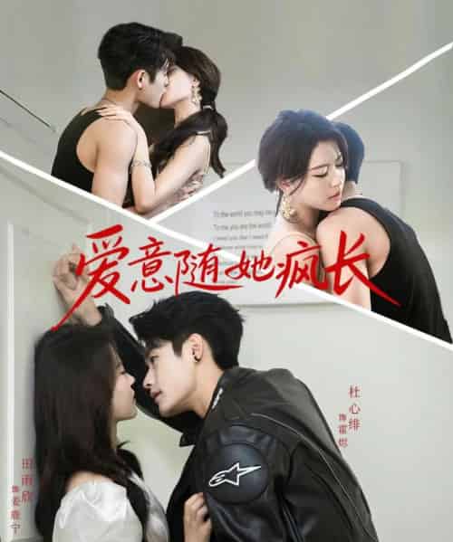 爱意随她疯长（66集）杜心绯＆田雨欣-初遇资源网