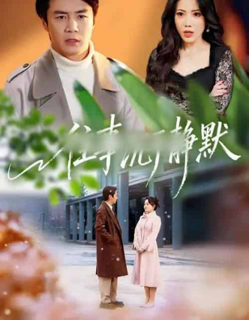 往事沉于静默（70集全）瑞娜＆陈聿修-初遇资源网