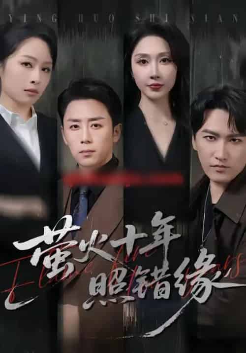 萤火十年照错缘(81集全)阎纪圻&樊纾宁-初遇资源网