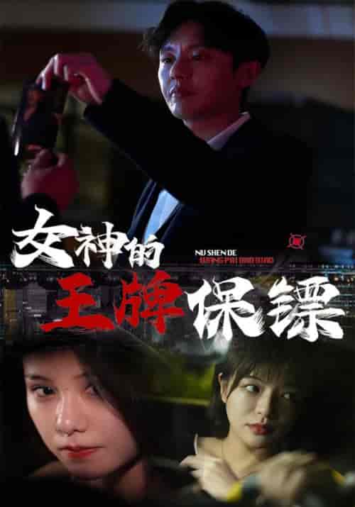 女神的王牌保镖(100集全)钟铭&文雪莱-初遇资源网