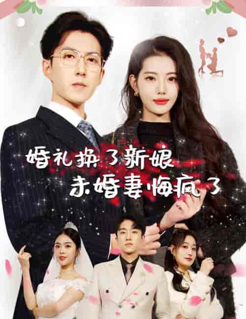 婚礼换了新娘未婚妻悔疯了（30集全）-初遇资源网