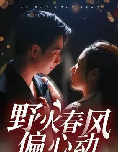 野火春风偏心动（36集全）周瑾阳＆冯璇-初遇资源网