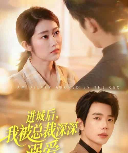 进城后，我被总裁深深溺爱（109集全）何连飞＆崔馨心-初遇资源网