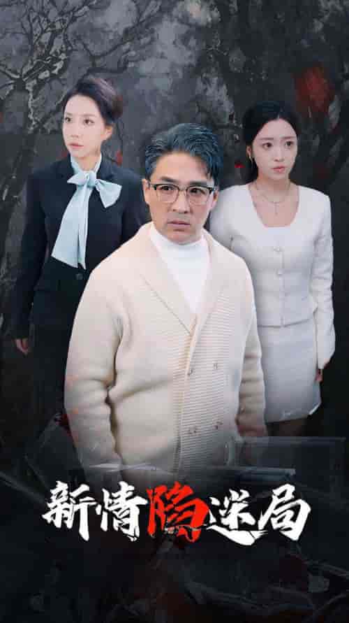 新情陷迷局（80集全）-初遇资源网