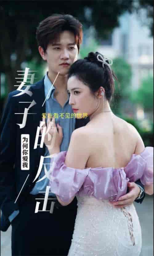 新版：妻子的反击（38集）-初遇资源网