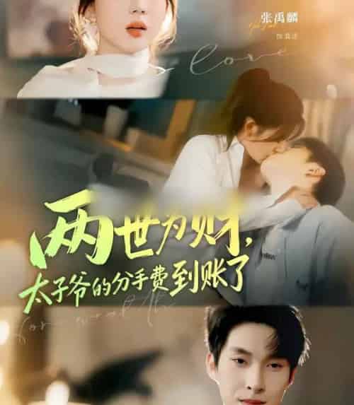 两世为财,太子爷的分手费到账了(61集全)徐兰迪&张禹麟-初遇资源网