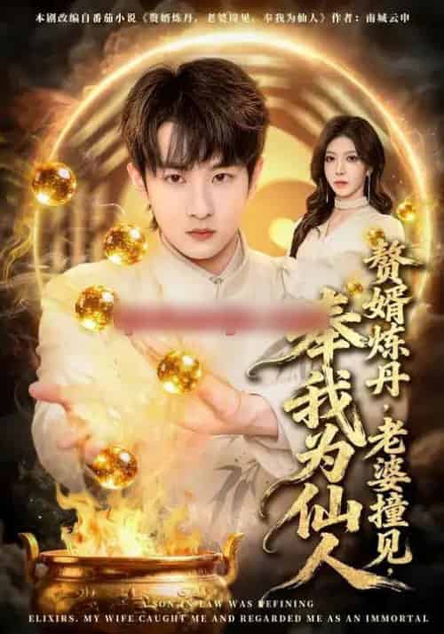 赘婿炼丹，老婆撞见，奉我为仙人（59集全）童家豪＆李伊琳-初遇资源网