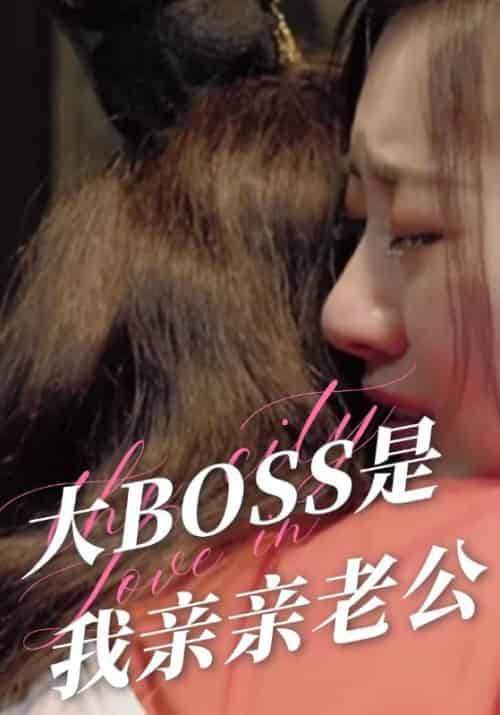 大BOSS是我亲亲老公（45集全）李琰＆沐颜-初遇资源网