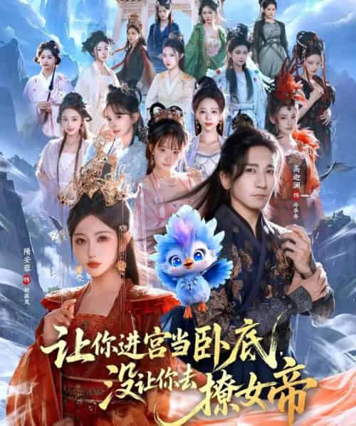 让你进宫当卧底，没让你去撩女帝（85集全）高迦澜＆隋安蓉-初遇资源网