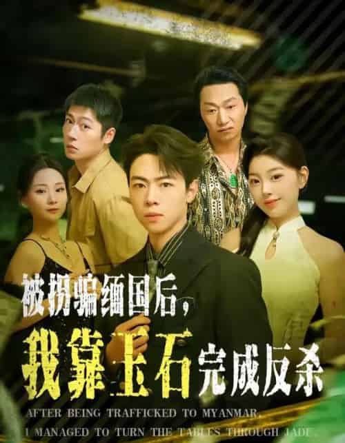 被拐骗缅国后，我靠玉石完成反杀（80集全）魏星亦＆张曼-初遇资源网