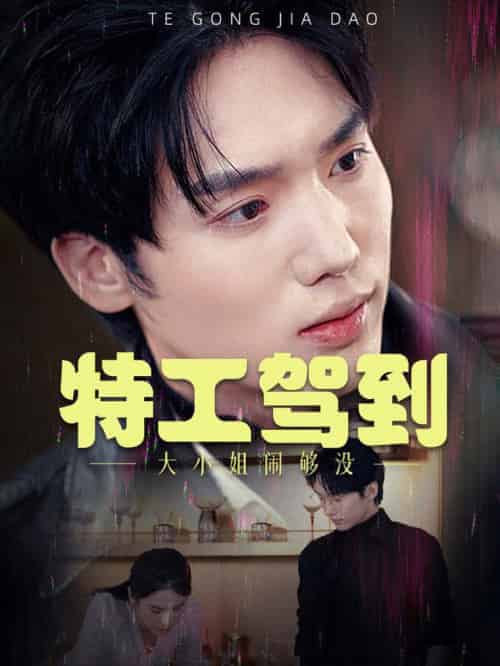 特工驾到大小姐别闹了（40集全）韩江宇-初遇资源网