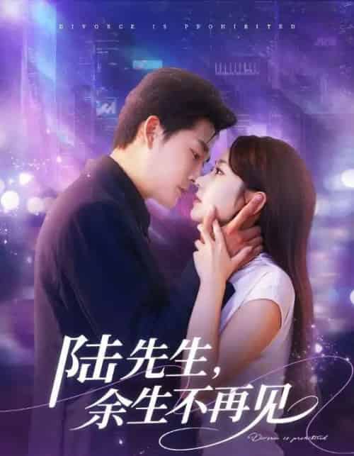 陆先生，余生不再见（88集全）张旋＆孟嘉鑫-初遇资源网