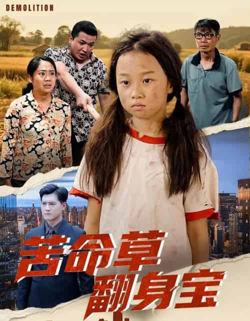 苦命草翻身宝(62集全)朱钰琪&何强-初遇资源网