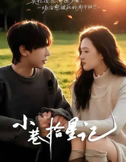 小巷拾星记（65集全）彭天瑞＆陈秋菊-初遇资源网