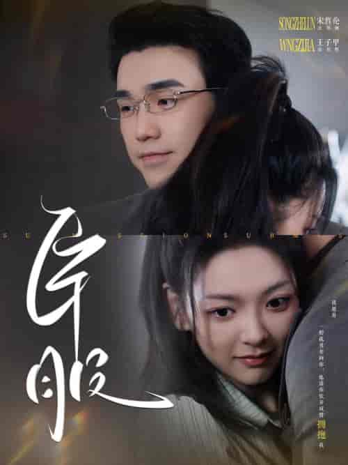 臣服(95集全)-初遇资源网