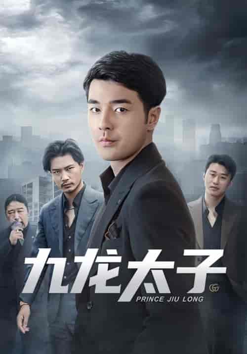 九龙太子(80集)-初遇资源网