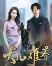 犬儿难养（38集）张炘童-初遇资源网