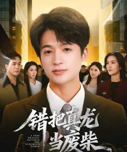 错把真龙当废柴（71集全）博之＆张翎月-初遇资源网