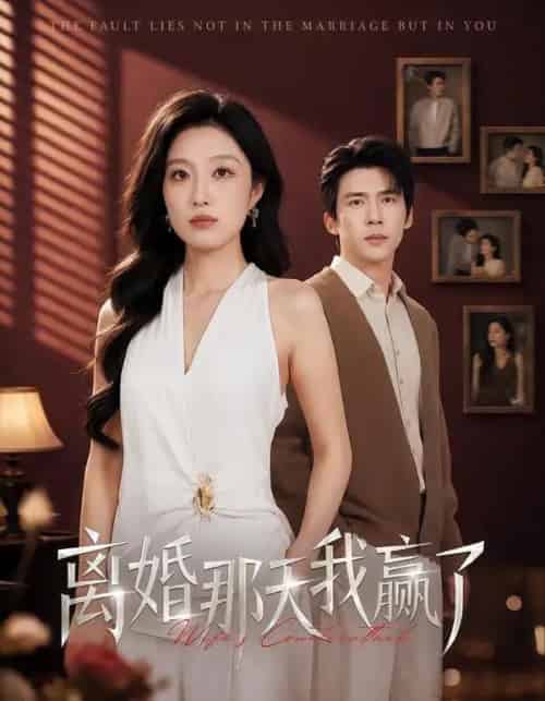 离婚那天我赢了(60集全)韩惟&冯思源-初遇资源网