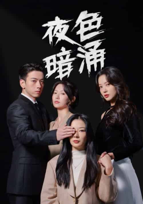 夜色暗涌(48集全)秦令&苏言-初遇资源网
