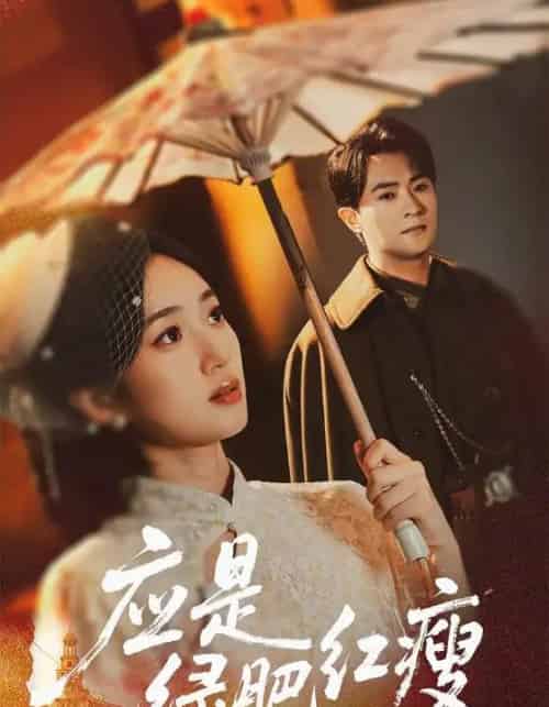 应是绿肥红瘦（111集全）杨文昊＆史小叶-初遇资源网