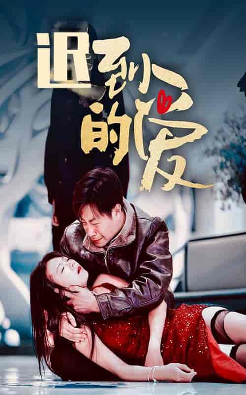 迟到的爱（35集全）-初遇资源网