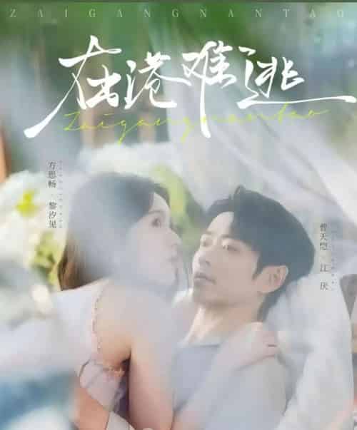 在港难逃（74集全）曹天恺＆方思畅-初遇资源网