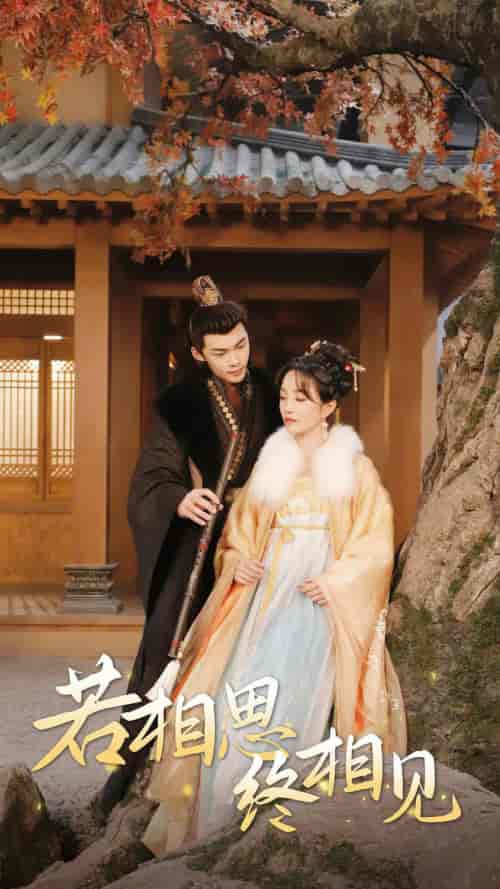 若相思，终相见＆侯爷的双世小悍妻（85集）-初遇资源网