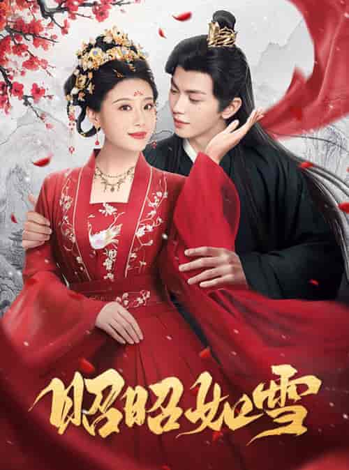 昭昭如雪(60集全)叶皓然&于小婉儿-初遇资源网