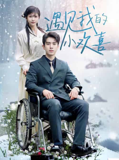 遇见我的小欢喜（70集全）阮俊杰＆毛丽婷-初遇资源网