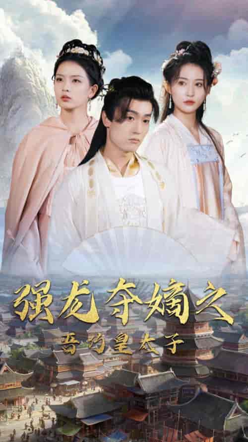 强龙夺嫡之吾乃皇太子（104集）-初遇资源网