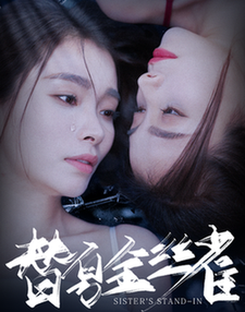 替身金丝雀(66集全)-初遇资源网