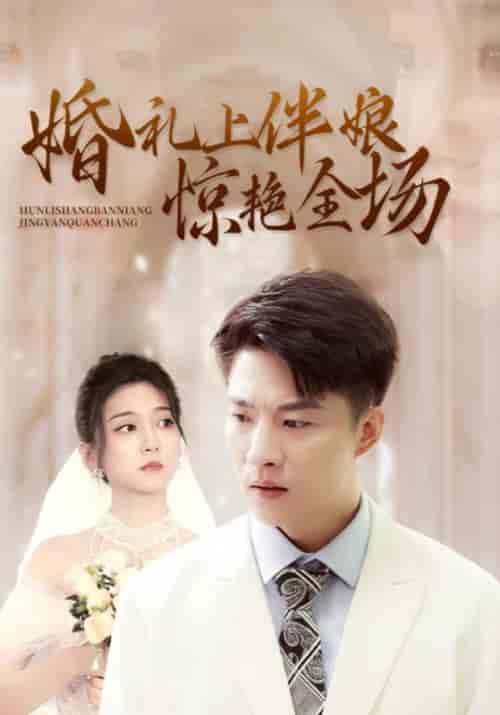 婚礼上伴娘惊艳全场(55集全)肖寒&张黎黎-初遇资源网