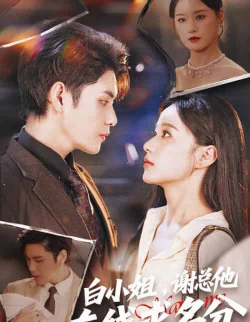 白小姐，谢总他在线求名分（56集全）张志伟＆王宇婧-初遇资源网