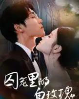 囚笼里的白玫瑰（59集全）李明轩-初遇资源网